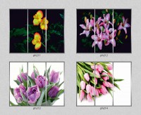 /album/fotogalereya-fotodruk/a38-jpg1/