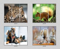 /album/fotogalereya-fotodruk/a40-jpg2/